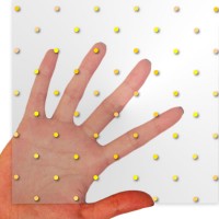  Cellophane Gold Dotted XL1OR